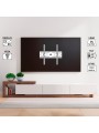 Tele System Supporto TV a Muro Inclinabile da 23" a 65" , Livella a Bolla Inclusa, Staffa TV LED LCD Curvi e Piani